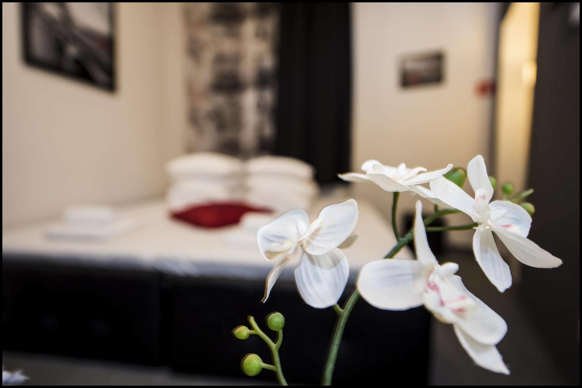 Apartament Z Jacuzzi Krakow Rynek Екстер'єр фото